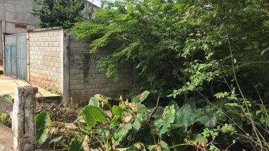 Photo of Urge limpieza de canales de drenajes de aguas lluvias en Pueblo Nuevo