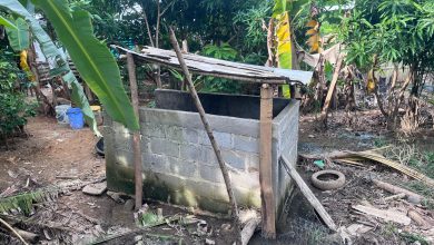 Photo of Denuncian existencia de un chiquero en barrio del sur de Montelíbano