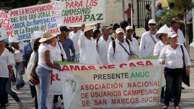 Photo of Campesinos anuncian que se van a paro por incumplimientos del Gobierno Petro