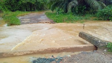 Photo of Creciente tumbó un puente en la vía Planeta Rica – La Fortuna