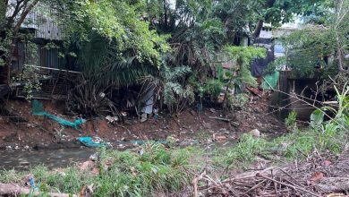 Photo of Malos olores del caño Burgos causan afectaciones en la comunidad de Montelíbano