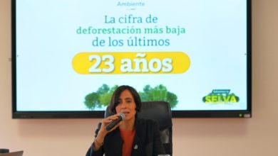 Photo of Colombia logra la menor tasa de deforestación en dos décadas