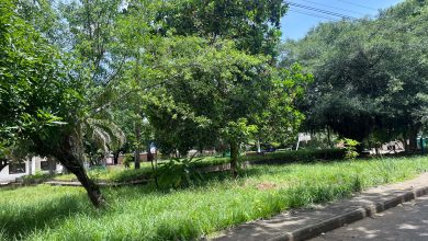Photo of La maleza se apodera de parque del barrio Villa Matoso de Montelíbano
