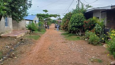 Photo of El dengue azota en dos barrios del sur de Montelíbano ¿Qué están haciendo las autoridades de salud?