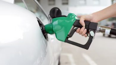 Photo of Estos son los carros más ahorradores de gasolina del 2024: ¿Cuánto valen?