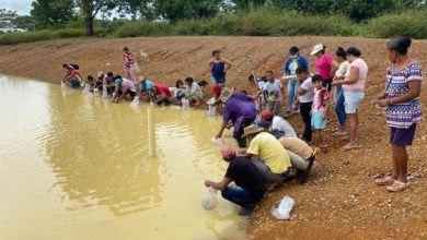 Photo of Implementan proyecto de producción de bocachico en cabildo indígena de Puerto Libertador