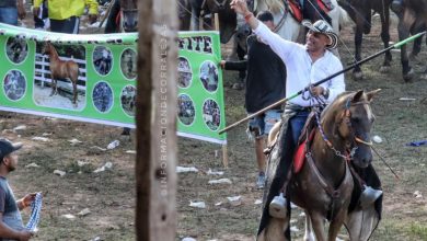 Photo of Tribuna visible | Corralejas, pasión de vida