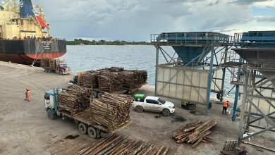 Photo of Madera cordobesa rumbo a España, un significativo impulso económico