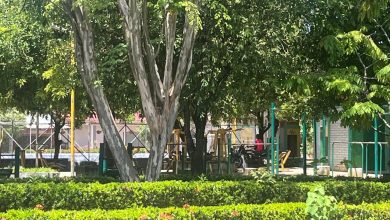 Photo of En ‘marihuanodromo’ se está convirtiendo el parque Bernardo Ospina de Montelíbano