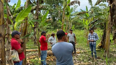 Photo of Brindan acompañamiento técnico a agricultores de Puerto Libertador