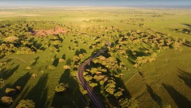 Photo of De trocha a carretera, una veeduría ciudadana exitosa en Casanare