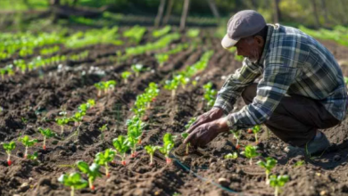 Photo of El Congreso recibe el primer proyecto de ley para la Jurisdicción Agraria en Colombia