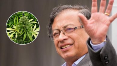 Photo of Petro hizo un llamado al Congreso para legalizar el cannabis