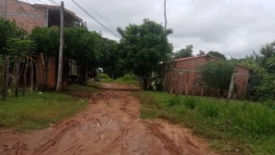 Photo of Piden arreglo de calle y alumbrado público en barrio de Pueblo Nuevo