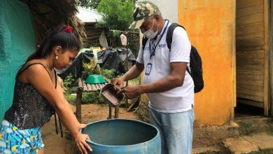 Photo of Seis muertes probables por dengue en Córdoba en lo que va de 2025