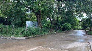 Photo of De nunca acabar: Chiquero afecta la calidad del aire en barrio de Montelíbano