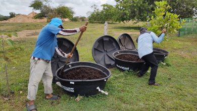 Photo of Unicórdoba recupera 50 hectáreas de suelos contaminados en Chocó y Córdoba