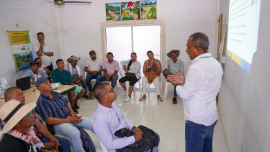 Photo of La CVS inicia proyecto silvopastoril en Montelíbano y Puerto Libertador