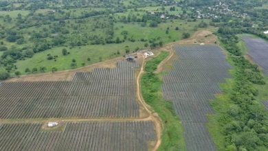 Photo of Zelestra inauguró el parque solar La Unión, que tuvo inversiones de US$200 millones