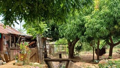 Photo of Córdoba reduce la pobreza multidimensional