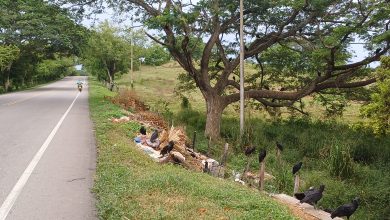 Photo of Proliferan basureros a cielo abierto en la vía Planeta Rica – Pueblo Nuevo