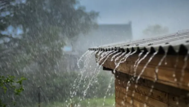 Photo of Alerta por incremento de lluvias en Córdoba: más de 10 municipios son monitoreados