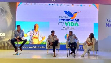 Photo of En Barranquilla; la feria de las economías de la vida