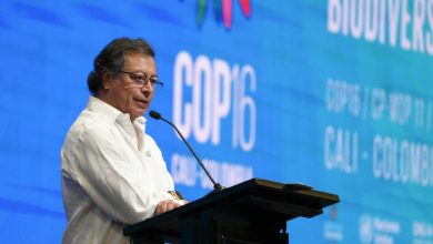 Photo of Petro cuestionó la ausencia de otros jefes de Estado en la COP16