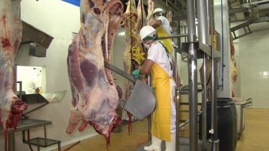Photo of China se convierte en el segundo mayor comprador de la carne colombiana