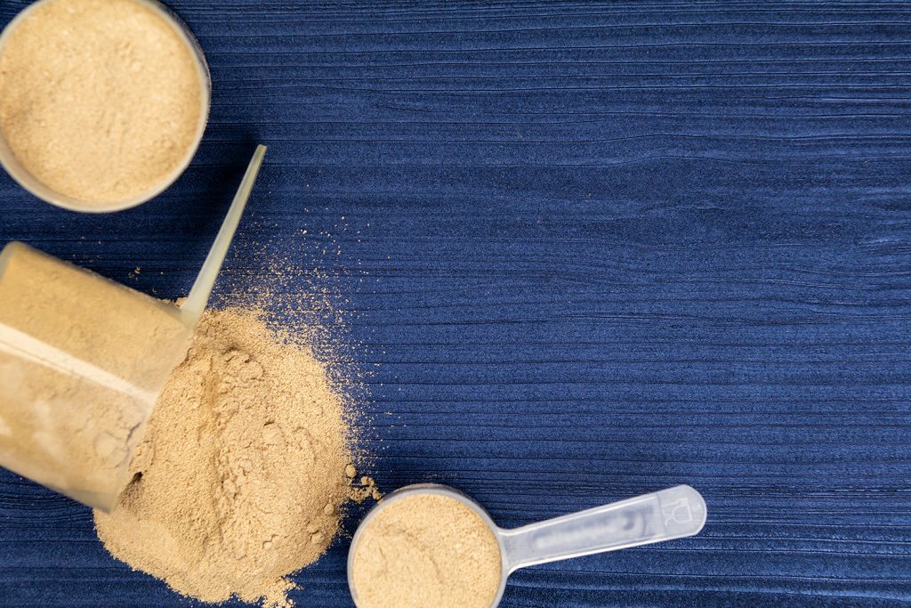 Proteína ideal para hombres y mujeres: guía definitiva según ChatGPT