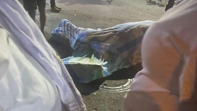 Photo of Tristeza: Cabalgata dejó un caballo muerto en Montelíbano