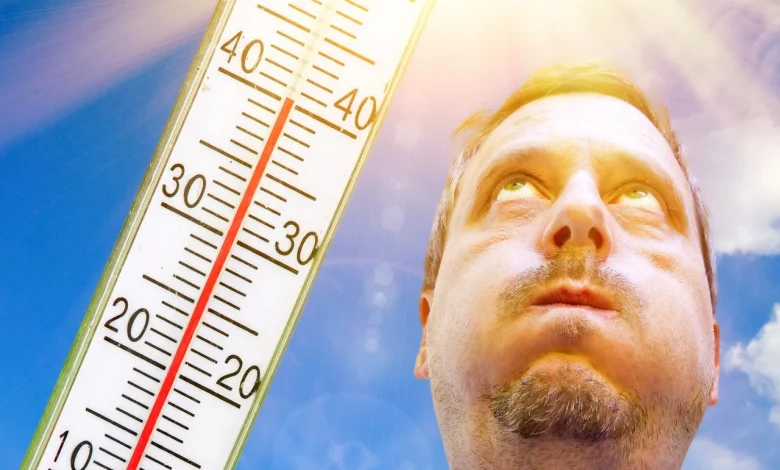 Gráfico mostrando la relación entre temperatura y rendimiento cognitivo
