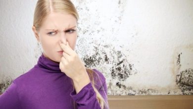 Photo of Adiós al olor a humedad: trucos caseros que realmente funcionan