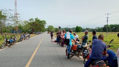 Photo of Una vaca por poco ocasiona una tragedia en la vía La Apartada – Ayapel