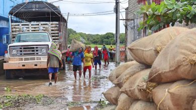 Photo of Fondo Adaptación invertirá más de $36 mil millones para fortalecer la cadena del arroz en La Mojana