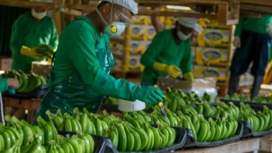 Photo of Colombia solicitó a EE. UU. eliminar arancel del 10% a productos nacionales