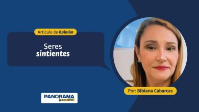 Photo of Opinión | Seres sintientes