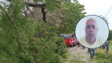 Photo of Identifican a hombre que falleció por la caída de árbol en Planeta Rica