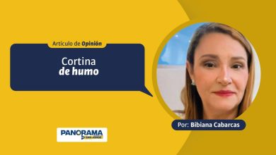 Photo of Opinión | Cortina de humo
