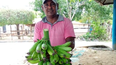 Photo of Más de 400 familias campesinas cordobesas mejoran su economía vendiendo al Bienestar Familiar