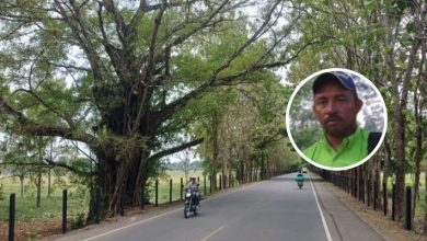 Photo of Motociclista pierde la vida tras chocar con una rama en la vía Montelíbano – La Apartada