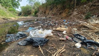 Photo of Planeta Rica: Anuncian recuperación de 9 kilómetros del arroyo La Carolina