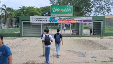 Photo of Universidad de Córdoba prioriza a jóvenes del campo en ingreso a Medicina