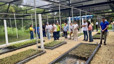 Photo of Afinia inauguró vivero bioclimático en Montería con capacidad de producir 20.000 plantas