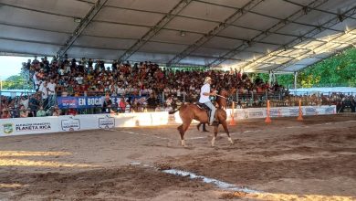 Photo of Están abiertas las inscripciones para el concurso de caballo criollo de vaquería de la feria ganadera de Planeta Rica