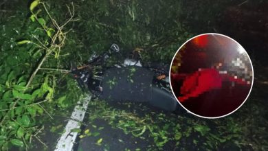 Photo of Caída de rama habría ocasionado fatal accidente en la vía Planeta Rica – Buenavista