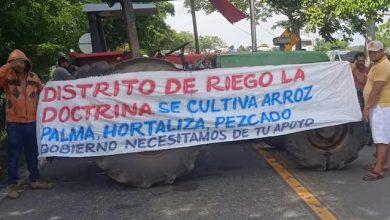 Photo of Paro arrocero: estas serían las nuevas disposiciones en Córdoba