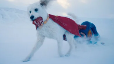 Photo of Boom de adopciones tras estreno de Superman: Krypto inspira a cientos de familias