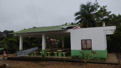 Photo of Alcalde de Buenavista pide ayuda para atender afectaciones ocasionadas por vendaval