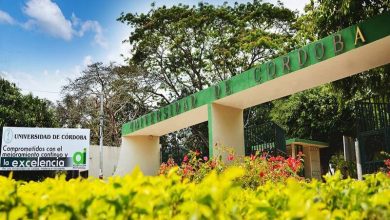 Photo of Más acceso y menos barreras: Gobierno deberá garantizar gratuidad en inscripciones y derechos de grado universitarios